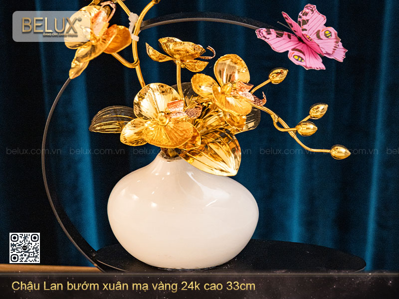 Chậu Lan Bướm Mạ Vàng